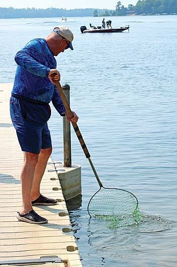 Clean Boats Clean Waters volunteer Mike Rynski works hard to keep Lake Tomahawk healthy