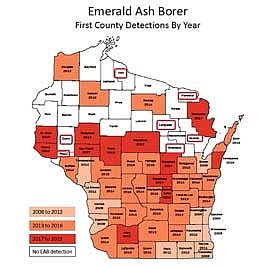 Wetland Coffee Break describes impacts of Emerald Ash Borer on Wisconsin’s wooded wetlands