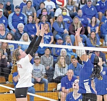 Tiger volleyball gives McDonell Central Catholic a fight