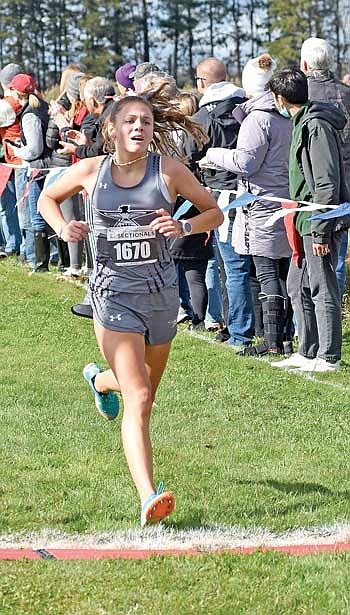 Young T-Bird cross country teams show promising future