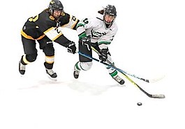 Lead photo