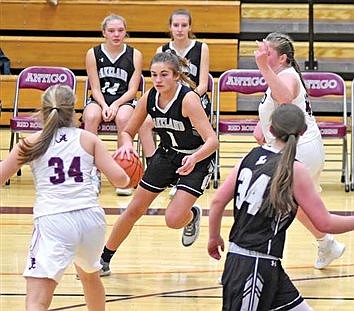 Lady Thunderbirds dominate two GNC foes