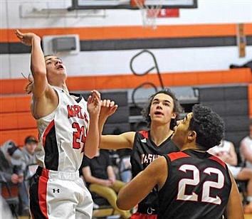 Tigers drop two conference games