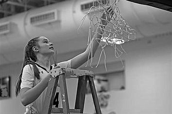 Cutting down the nets