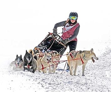 Inaugural Heal Creek Dog Dash a ‘smashing success’