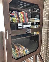 Eagle Scout project brings North Lakeland a Little Free Library