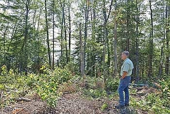 ‘I had to speak up’: Two Northwoods friends push Wisconsin DNR to protect lakeshore forests