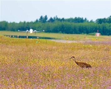 Lakeland Airport’s 2023 budget approved