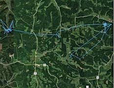 Study looks to determine role of dispersing young deer in spread of CWD