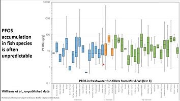 Researchers look at PFAS in surface water