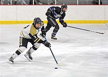 Lakeland boys’ hockey falls one game short of returning to state