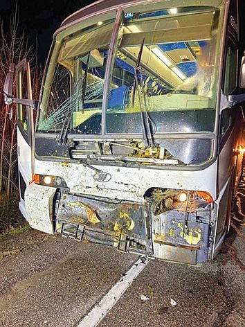 Cow T-boned by LUHS track team bus