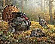 2023 turkey stamp winning artwork by Sam Timm of Wautoma. (Contributed image)