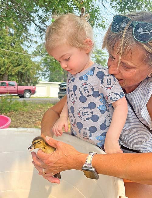 Cathy Oxley and her two-year-old grandchild Olivia Oxley share a moment with a feathered friend while visiting the petting zoo at the 70th Anniversary Million Penny Parade celebration on Saturday, July 15, in Woodruff.