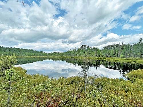 A view from Tower Nibiiwan Conservation Area in Sugar Camp. (Contributed photograph)