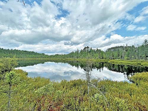A view from Tower Nibiiwan Conservation Area in Sugar Camp. (Submitted photo)