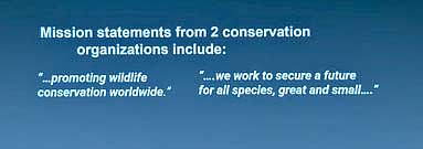 These two missions seem to align quite well. It would seem these two groups want the same thing for all natural resources. However, one mission belongs to the Safari Club International and the other to Centers for Biological Diversity. Rather than concentrate on how much the two groups have in common, they find themselves at opposite ends of the natural resources spectrum on the issue of wolf delisting. This one issue, to the detriment of all others, has set them at odds with one another in perpetual litigation. (Photo by Beckie Gaskill/Lakeland Times)