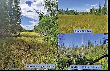 Toft Point is a peat wetland area that is the focus of some of Keir Wefferling’s work looking at bryophytes and attempting to include them in a floristic quality assessment. (Contributed photograph)