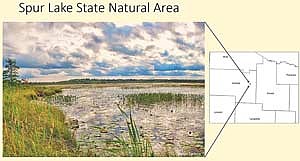 Spur Lake in Oneida County was once home to lush beds of wild rice that fluctuated in production as wild rice tends to do. By 2010, however, it was found to be too deep to provide the right environment for that plant, which has a long, culturally important history with the Ojibwe in the area. In fact, as Nathan Podany of the Sokaogon Chippewa Environmental Department said, there is a historical marker telling of a hard-fought battle between Ojibwe and Sioux warriors over that rice lake. (Contributed photograph)