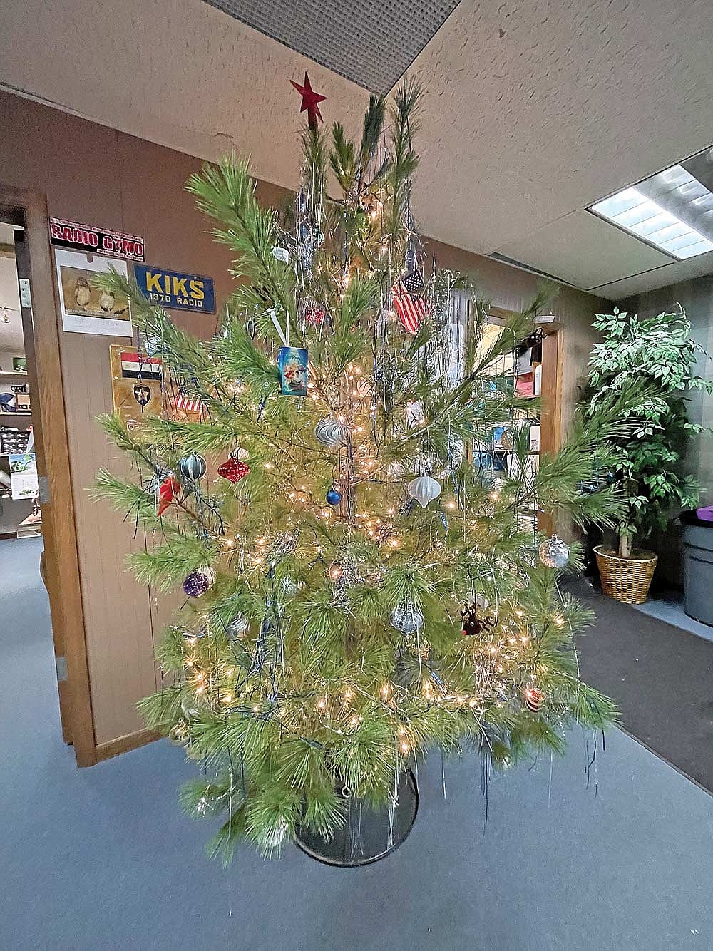 When it comes to Christmas trees, real versus artificial comes down to a matter of personal preference. As for the Lakeland Times office, a real tree adorns the newsroom. (Photo by Jeremy Mayo/River News)