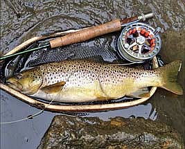 Early catch and release season for inland trout opens Jan. 6. (Contributed photograph)