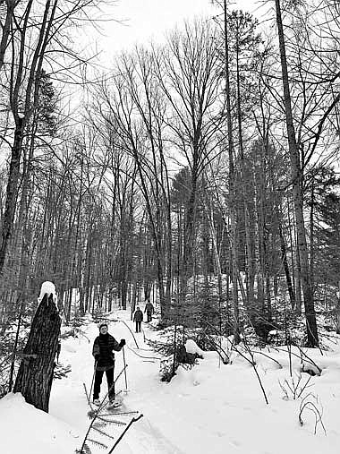 The Northwoods Land Trust (NWLT) will host a free guided snow- shoe walk from 6 to 7:30 p.m. Friday, Feb. 23 at the Tower Nibiiwan Conservation Area in the township of Sugar Camp. (Photo courtesy of Northwoods Land Trust)