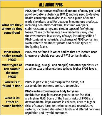 Above is a screenshot of the “All about PFOS” graphic included in the 2024-2026 Choose Wisely booklet published by the Department of Natural Resources. (Screenshots/Choose Wisely booklet)
