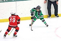 photo thumbnail