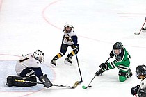 photo thumbnail