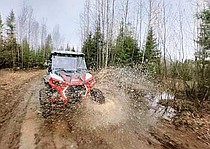 photo thumbnail