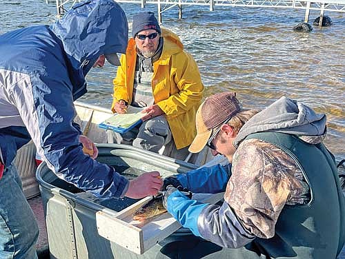 Aaron Shultz of GLIFWC records data while Jake Strasburg, left, and Logan Strasburg, right, help collect data for walleyes in Minocqua and Kawaguesaga lakes. (Photo by Trevor Greene/Lakeland Times)