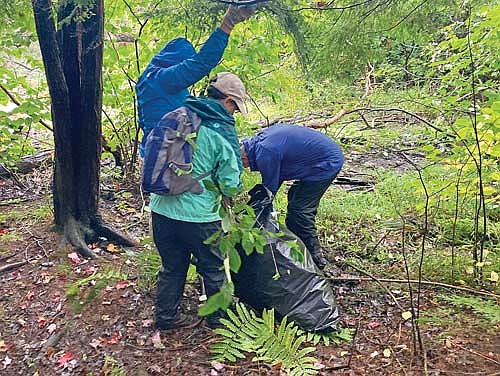 Volunteers fill trash bags with invasive species during the 2023 Volunteer Day. (Submitted photo)