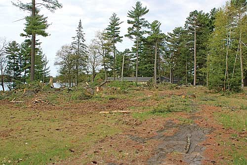 Trees piled up at the property just south of the Paul Bunyan Cook Shanty on Wednesday, May 15, in Minocqua. (Photo by Trevor Greene/Lakeland Times)