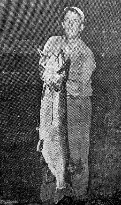 Photo detail