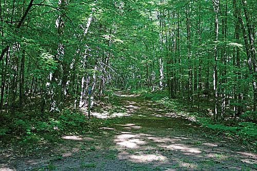 State parks and trails are open this weekend with no fees. It is also Free Fishing Weekend, where neither resident nor non-residents need to purchase a fishing license to fish on inland waters (although trout stamps are still required). It will be a great weekend to get out and enjoy the outdoors. (Photo by Beckie Gaskill/Lakeland Times)