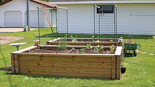 This year’s raised beds are planted — with a bit more knowledge and forethought than last year. (Photo by Beckie Gaskill/Lakeland Times)