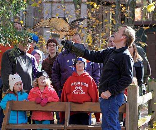 Bart Kotarba, wildlife educator at the Northwoods Wildlife Center, will be the guest speaker at the annual Oneida County Stewardship Awards banquet in August. (Photo by Dean Hall/Lakeland Times)