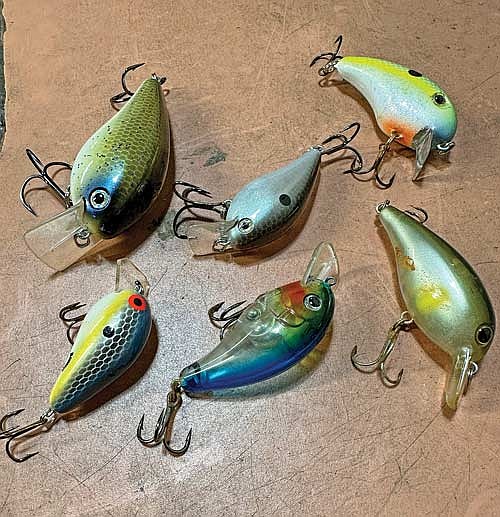 Square-bill crankbaits are a great option for shallow water. They come in many colors and patterns, and a variety different sizes. When fishing a square-bill crankbait, anglers should be mindful of the forage in the lake and make every attempt to “match the hatch,” or throw a crankbait that looks close to the baitfish or crayfish that are present in the lake. (Photo by Beckie Gaskill/Lakeland Times)