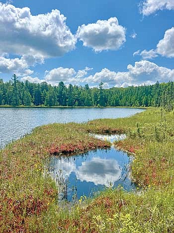 The Northwoods Land Trust is hosting a free event from 1 to 2:30 p.m. Aug. 9 at the Tower Nibiiwan Conservation Area in the town of Sugar Camp. (Contributed photograph)