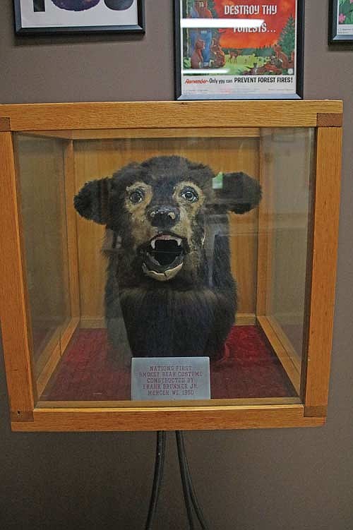 The original Smokey Bear mask was created in Mercer, and is still at home in the Mercer library. (Photo by Beckie Gaskill/Lakeland Times)