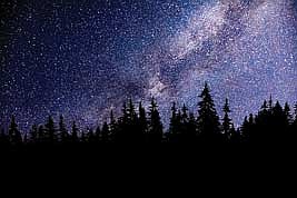 Experience the magic of the night sky on a guided night hike The stars shine brighter and nature comes alive in the dark. (Submitted photo)