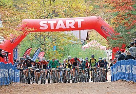 Lead photo