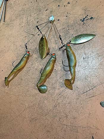 When rigging an Alabama rig, or an umbrella rig, using swim baits that match the forage in the lake is important. (Photo by Beckie Gaskill/Lakeland Times)