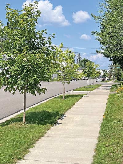 Local resident Gale Willcox has donated $50,000 to the City of Rhinelander’s Urban Forestry Fund. (Submitted photo)