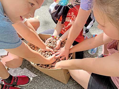 Rhinelander elementary school student collected acorns at the Cedric A. Vig Outdoor Classroom (CAVOC) this fall as part of a new DNR seed collecting program. (Submitted photo)