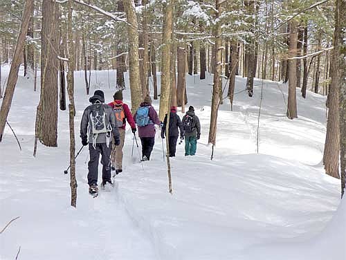 Enjoy winter in the Northwoods by participating in a snowshoe walk at the Holmboe Conifer Forest State Natural Area in Rhinelander on Feb. 20. (Photo courtesy of the Northwoods Land Trust)
