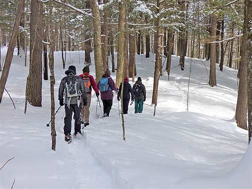 Join the Northwoods Land Trust for this free guided snowshoe walk on Thursday, Feb. 20, from 1 to 2:30 p.m. at the Holmboe Conifer Forest state natural area located in the city of Rhinelander. (Contributed photograph)