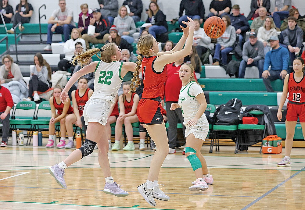 Rhinelander’s Vivian Lamers tips the ball away from Shawano’s Maci Beyer during the second half of a non-conference girls’ basketball game at the Jim Miazga Community Gymnasium Tuesday, Feb. 11. Lamers led the Hodags with nine points as the Hodags fell to the Hawks, 52-23. (Bob Mainhardt for the River News)