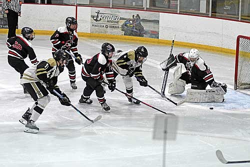 Dominic Gironella slides the puck past Shawano/Bonduel’s Tyson Lyons in the first period of a WIAA Division 2 regional final game Thursday, Feb. 20 at Lakeland Hawks Ice Arena. Gironella finished the game with three points. (Photo by Brett LaBore/Lakeland Times)