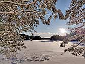 Northern Highland-American Legion State Forest is breathtaking this
centennial winter. (Contributed photograph)